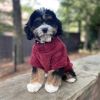 Burgundy Soft Plush Dog Sweater