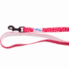 Cutie Ties Dog Leash with Fun Print Design