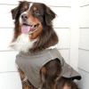 Dried Sage Alpine Tuf-Terrain Dog Coat
