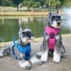 Mountain Lake Venture Paw No-Pull Dog Harness