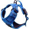 Mountain Lake Venture Paw No-Pull Dog Harness