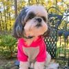 Pink on Gray Color-Block Dog Hoodie