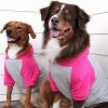 Pink on Gray Color-Block Dog Hoodie