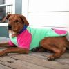 Pink on Mint Color-Block Dog Hoodie