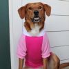 Pink on Pink Color-Block Dog Hoodie