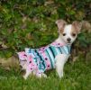 Pink & Teal Dog Harness Dress with Polka Dots and Stripes