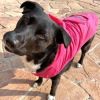 Pink Waterproof Packable Dog Raincoat