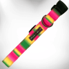 Walk-e-Woo Tie-Dye Adjustable Dog Collars Collection