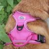 Wild Raspberry Venture Paw No-Pull Dog Harness