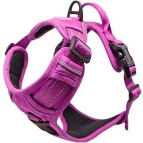 Wild Raspberry Venture Paw No-Pull Dog Harness (Option: X-Small)