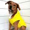 Yellow Dog Slicker Raincoat with Striped Lining